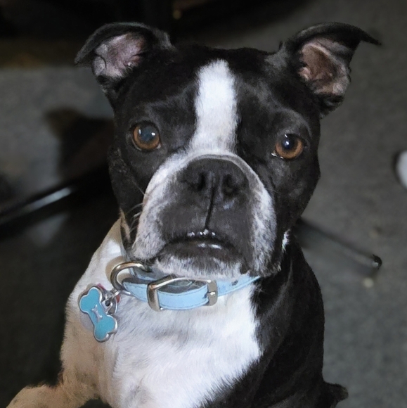 Meet your Posher, Tiff - Picture 11 of 16